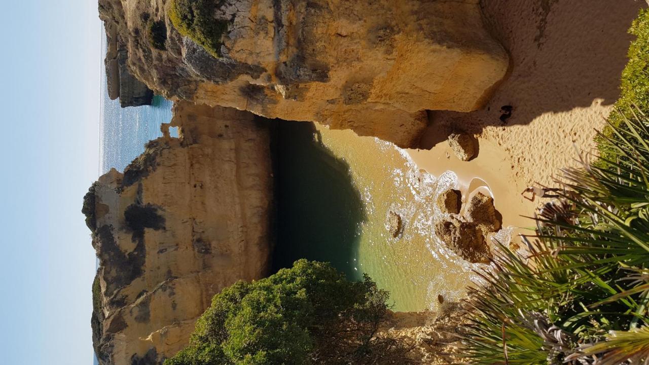 Magnific Studio With A Cozy Garden, 5 Minutes To The Beach Albufeira Exterior photo
