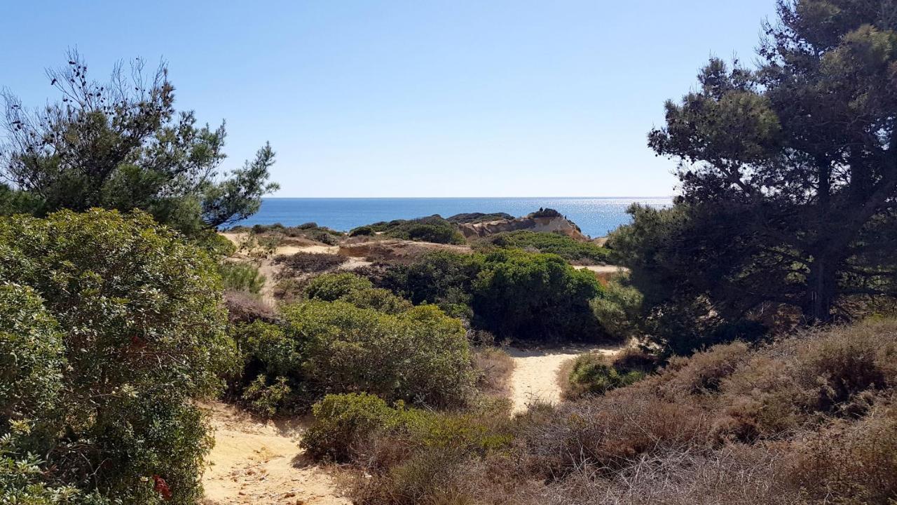 Magnific Studio With A Cozy Garden, 5 Minutes To The Beach Albufeira Exterior photo