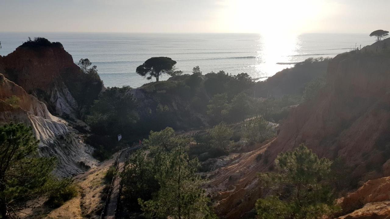 Magnific Studio With A Cozy Garden, 5 Minutes To The Beach Albufeira Exterior photo