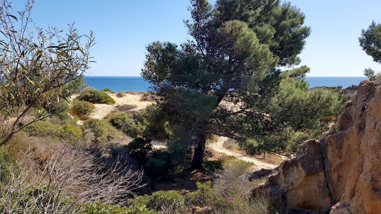 Magnific Studio With A Cozy Garden, 5 Minutes To The Beach Albufeira Exterior photo